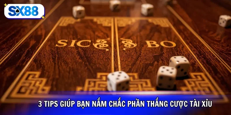 3 tips giúp bạn nắm chắc phần thắng cược tài xỉu