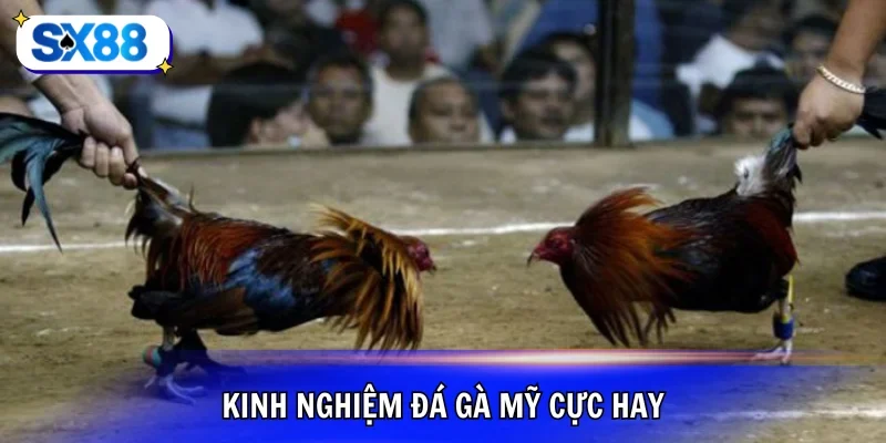 Áp dụng kinh nghiệm luyện tập khoa học