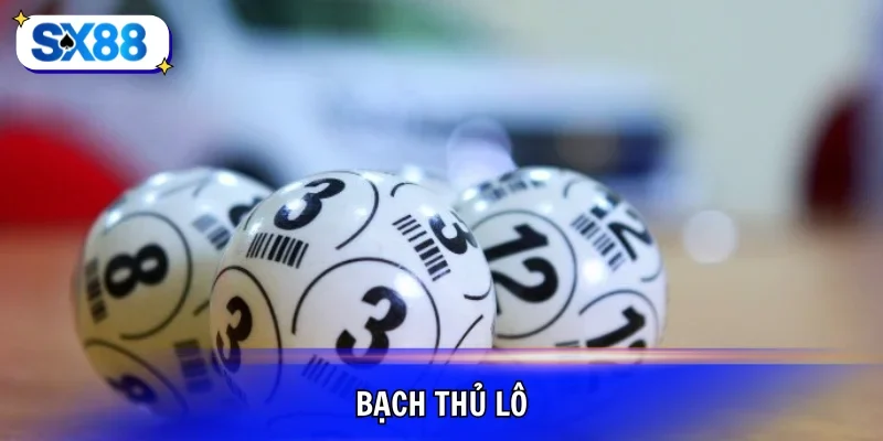 bạch thủ lô
