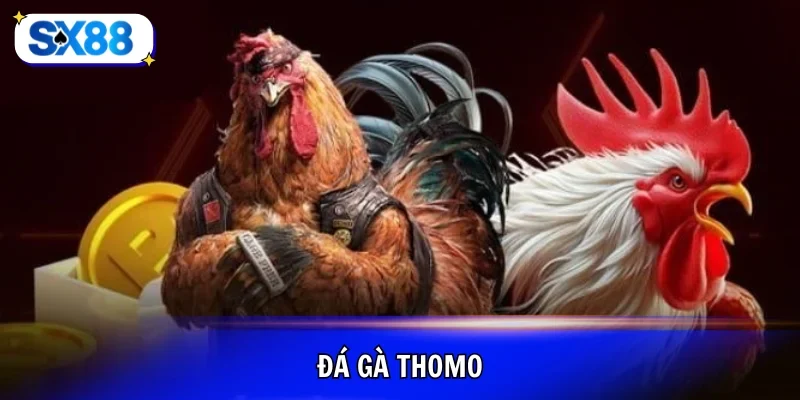 đá gà thomo