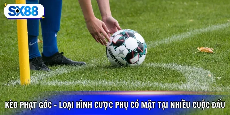 Kèo phạt góc - Loại hình cược phụ có mặt tại nhiều cuộc đấu