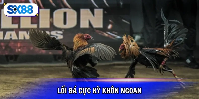 Lối đá không ngoan và thần thái đỉnh