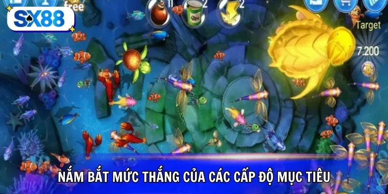Nắm bắt mức thắng của các cấp độ mục tiêu