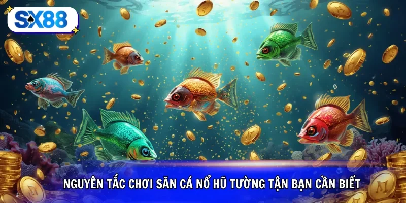 Nguyên tắc chơi săn cá nổ hũ tường tận bạn cần biết