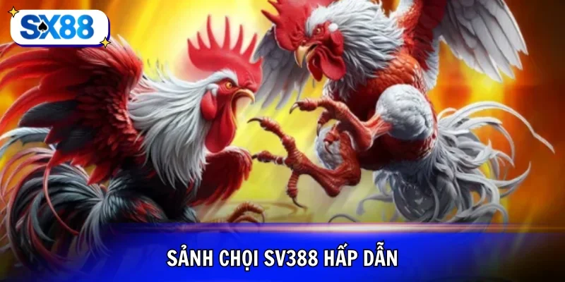 Sảnh chọi gà SV88 hấp dẫn đỉnh cao