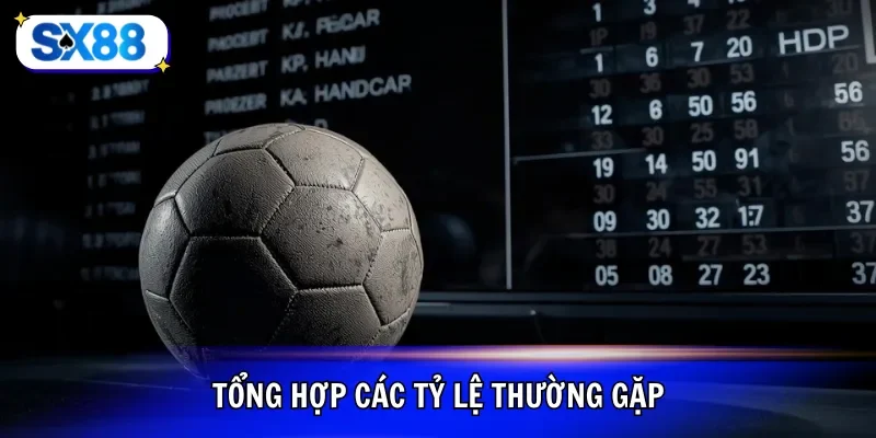 Tổng hợp các tỷ lệ thường gặp