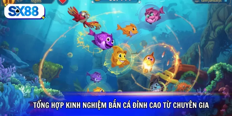 Tổng hợp kinh nghiệm bắn cá đỉnh cao từ chuyên gia